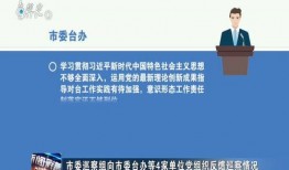 负面爆料杭州新闻事件,真相与争议交织的舆论漩涡