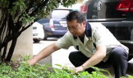 陈氏果业爆料事件视频完整版,揭秘背后真相与争议