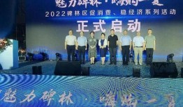 啤酒最新爆料新闻视频,啤酒行业新动态，独家视频爆料带你探秘