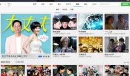 电视剧在线观看软件,揭秘热门电视剧在线观看软件
