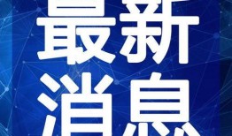 啤酒最新爆料新闻视频,啤酒行业新动态，独家视频爆料带你探秘