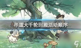 寻道大千轮回爆料视频,探寻神秘爆料视频背后的真相