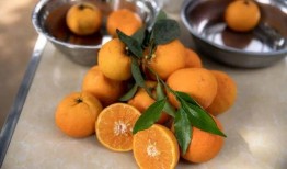 吃瓜网丽江网红,吃瓜网上的璀璨明星