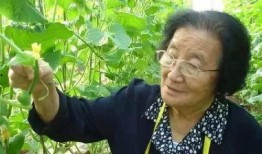 吃瓜网红王大炮是谁啊,他是谁？为何如此火爆？