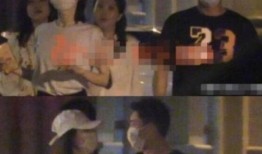 郑恺爆料片段高清视频,揭秘娱乐圈幕后真相