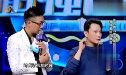 明星歌曲大爆料大全最新,独家幕后故事与精彩瞬间