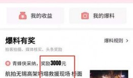 怎么样爆料视频,如何通过爆料视频揭露真相