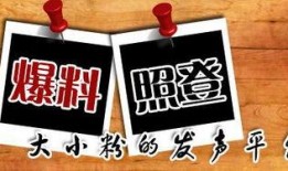 天等新闻爆料电话,最新动态一触即达