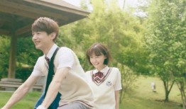 夏至未至在线观看免费,青春记忆的温暖回响