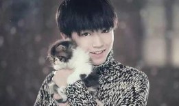 圈内贰爷爆料真实吗,真相揭秘，事件背后究竟如何？