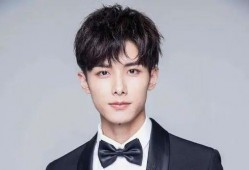 赵弈钦最新爆料消息视频,揭秘幕后的惊人真相！