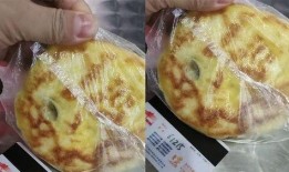 烧饼父母爆料视频大全集,揭秘家庭生活点滴