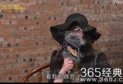 赵四女主爆料视频,揭秘娱乐圈惊人内幕