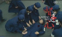 智子之心 在线观看,探索未来科技与人类情感的交织之旅